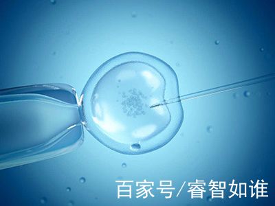 同性借卵助孕包生儿子